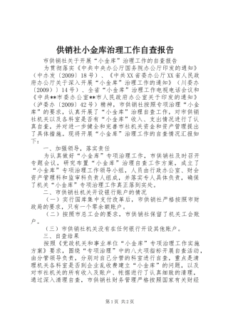 供销社小金库治理工作自查报告 