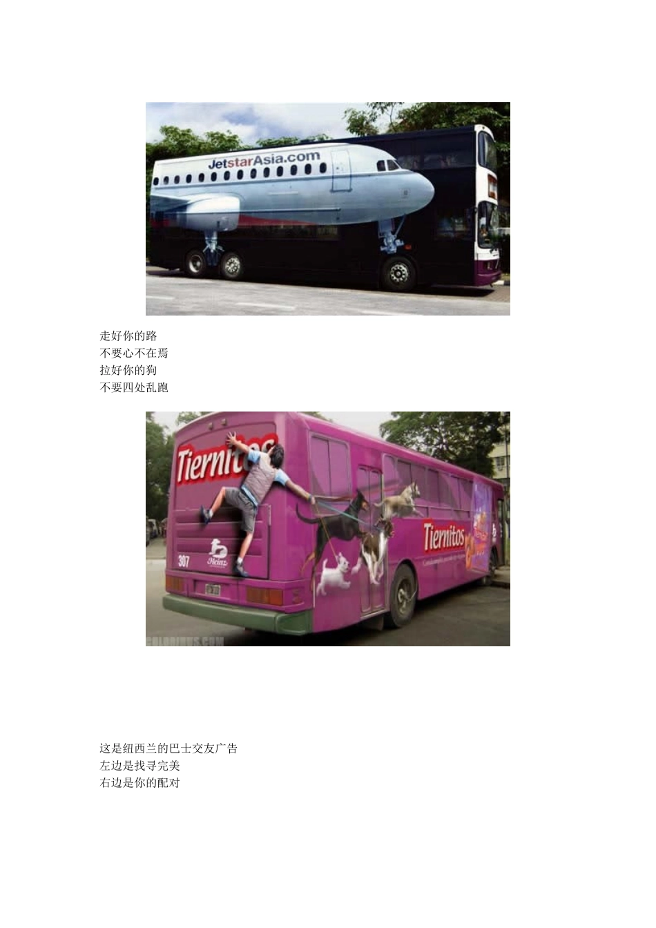 全球十大奇趣公交车广告_第3页