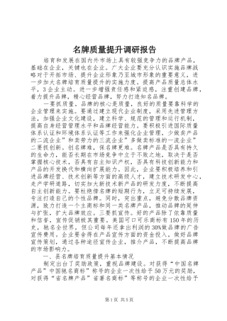 名牌质量提升调研报告 