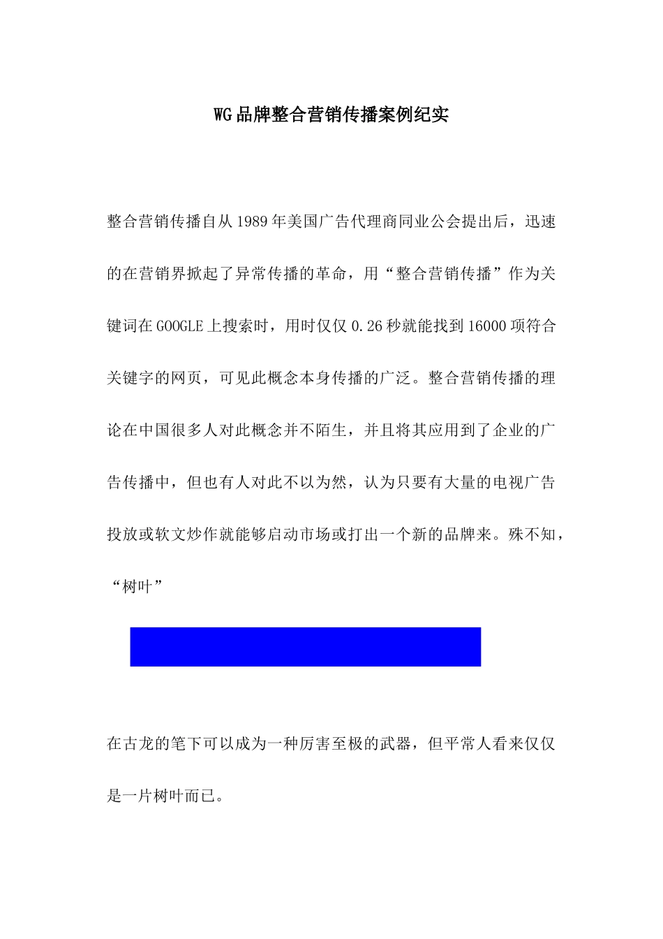 WG品牌整合营销传播案例纪实_第1页