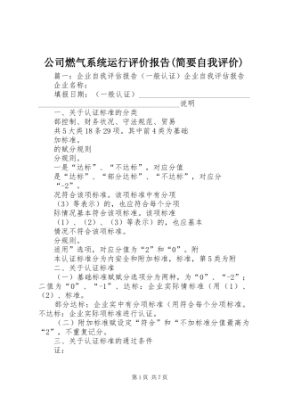 公司燃气系统运行评价报告(简要自我评价) 