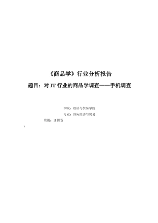 商品学IT产业报告