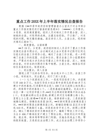 重点工作20XX年上半年落实情况自查报告