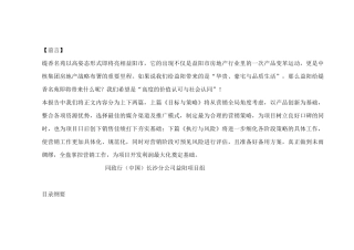 同致行-益阳缇香名苑营销策略报告-营销策略