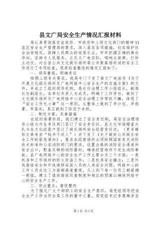 县文广局安全生产情况汇报材料 