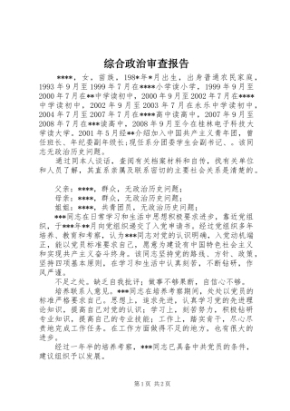 综合政治审查报告 