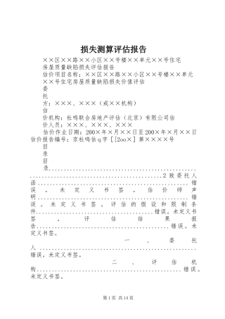损失测算评估报告 