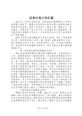 区审计局工作汇报 