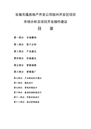 安徽宿州开发区项目市场分析及项目开发操作建议_101页