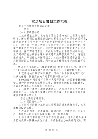 重点项目策划工作汇报 