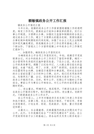 额敏镇政务公开工作汇报 