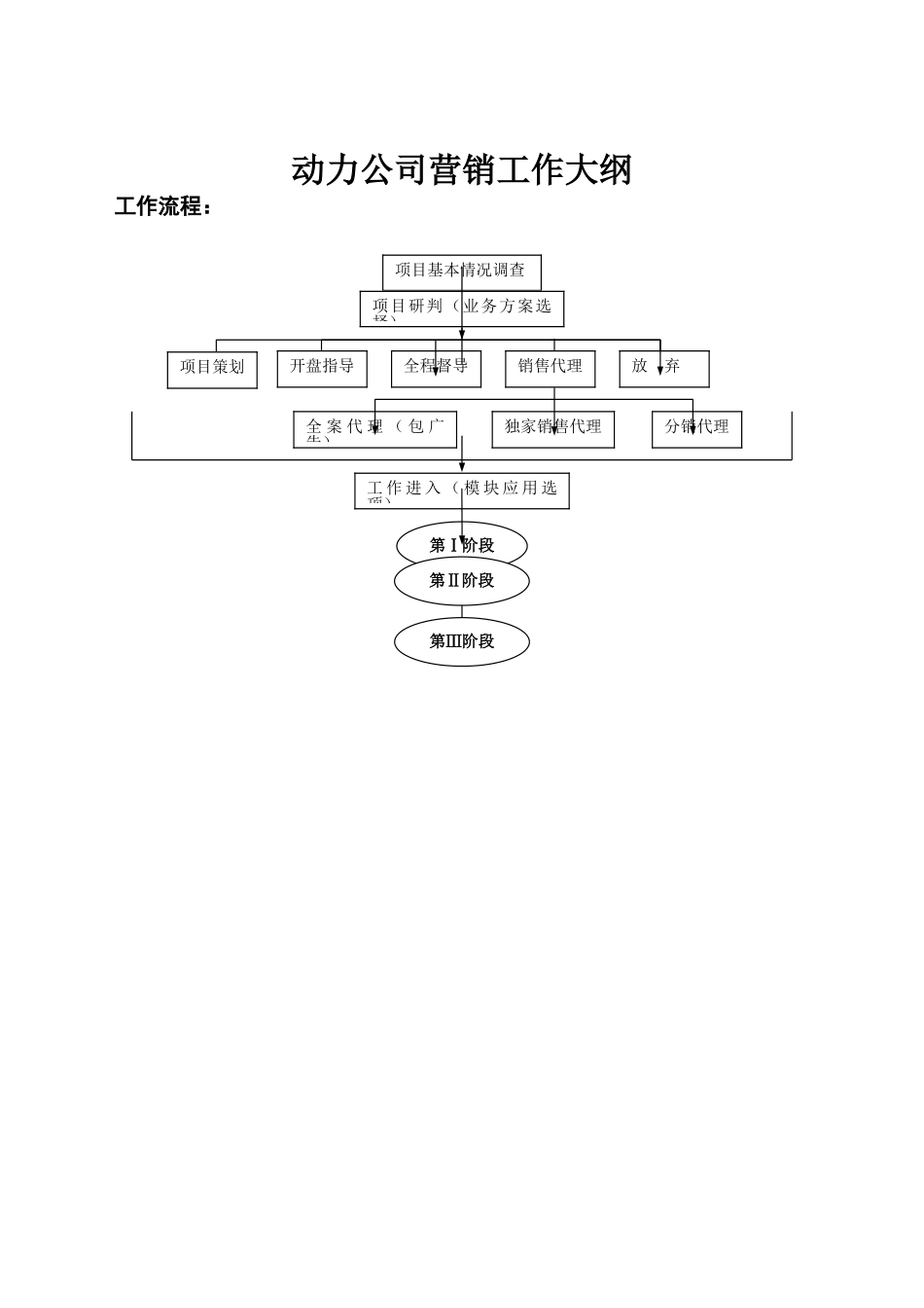 DLYX1.1动力公司营销工作大纲(23页)_第1页