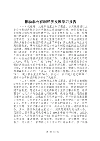 推动非公有制经济发展学习报告 