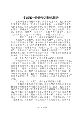 支部第一阶段学习情况报告 