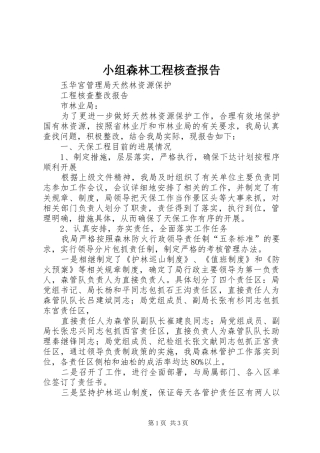 小组森林工程核查报告 