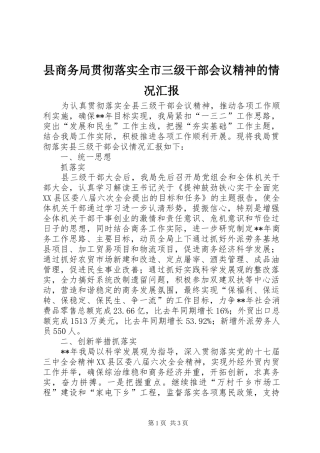县商务局贯彻落实全市三级干部会议精神的情况汇报 