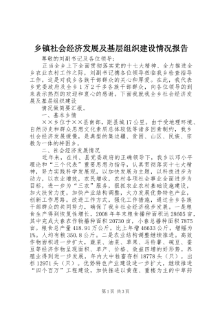 乡镇社会经济发展及基层组织建设情况报告 