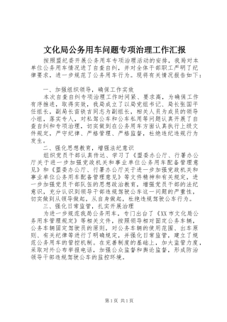文化局公务用车问题专项治理工作汇报 
