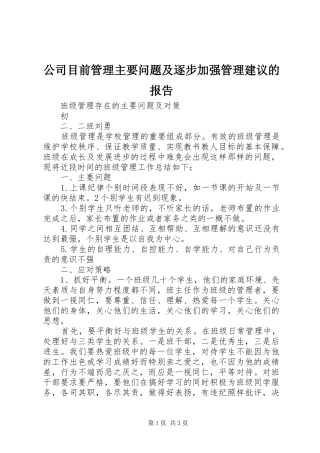 公司目前管理主要问题及逐步加强管理建议的报告 