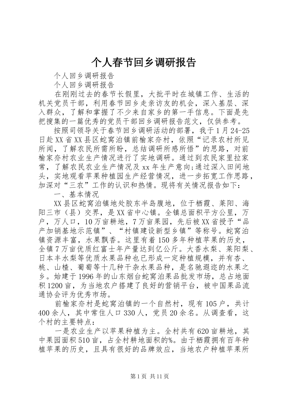 个人春节回乡调研报告 _第1页