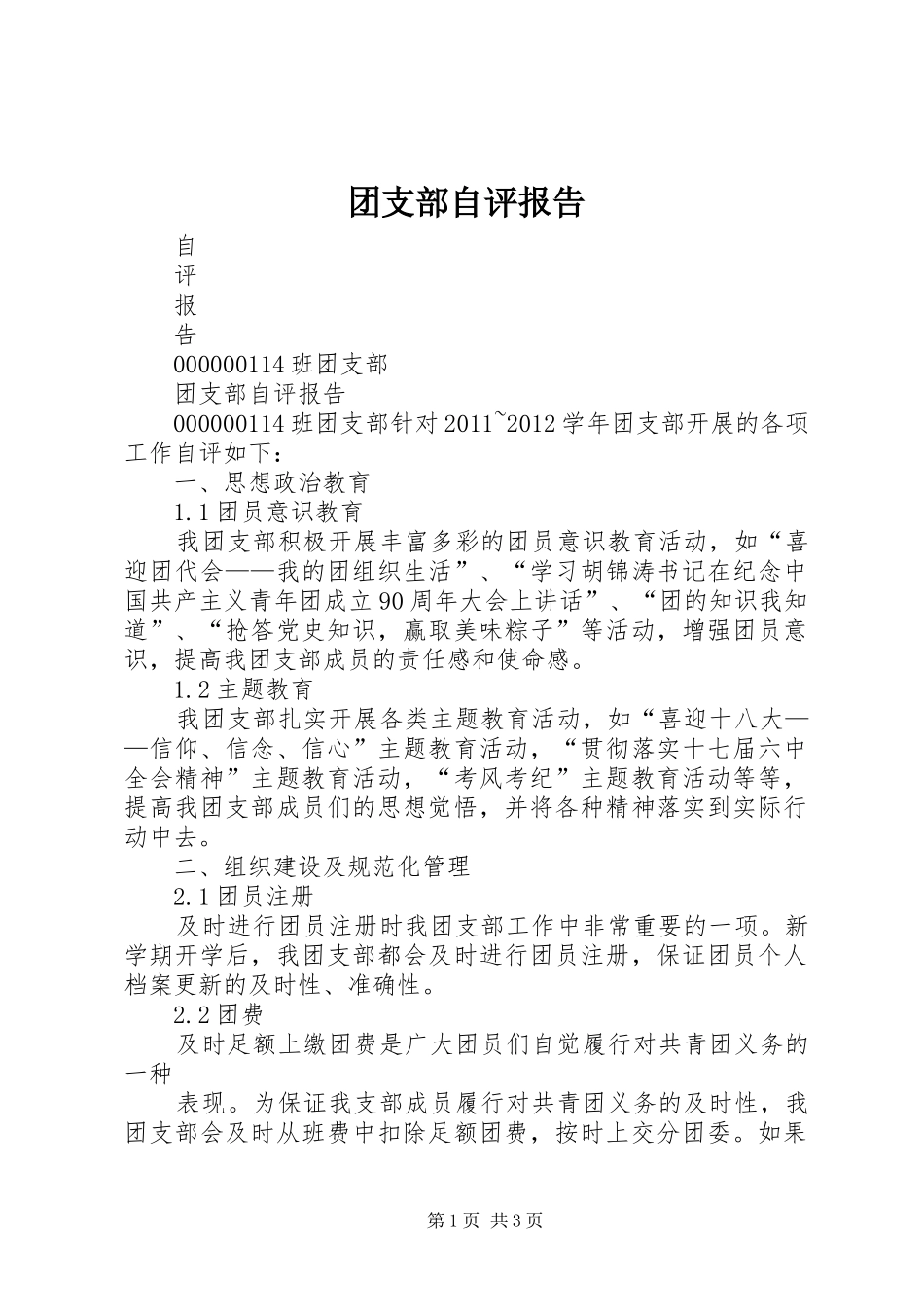 团支部自评报告 _第1页