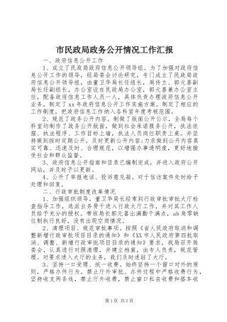 市民政局政务公开情况工作汇报 