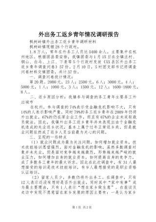 外出务工返乡青年情况调研报告 