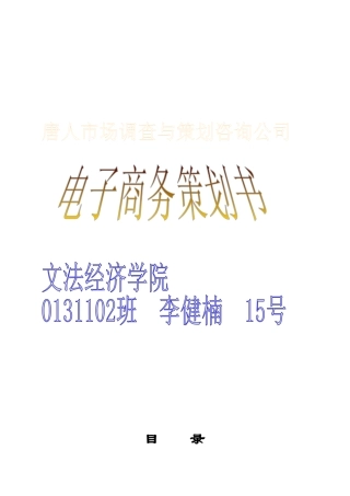 唐人市场调研网电子商务策划书李健楠15号
