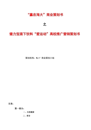 Wolf队营销策划书