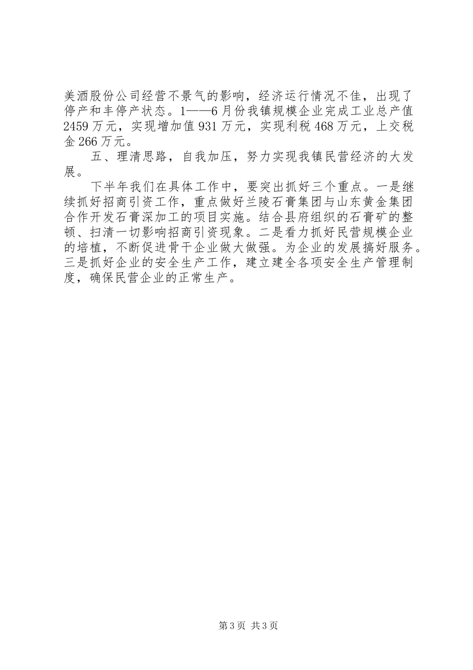 民营经济基本情况汇报材料 _第3页