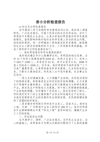 香小分析检查报告 