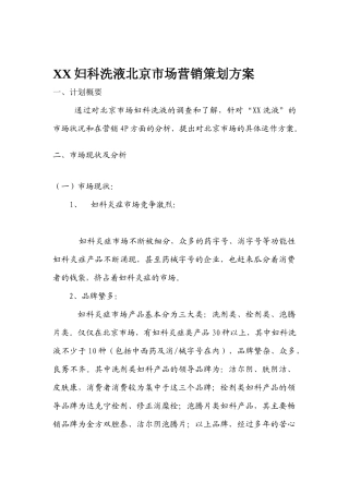 XX妇科洗液北京市场营销策划方案