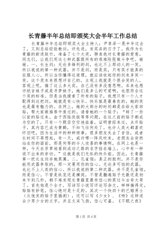 长青藤半年总结即颁奖大会半年工作总结