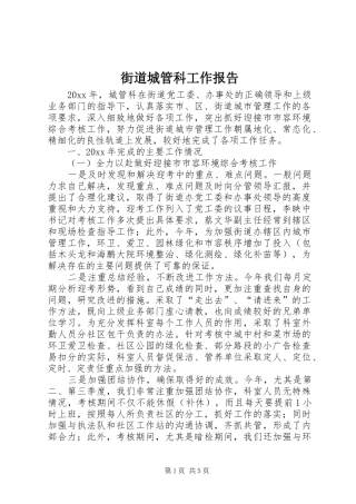 街道城管科工作报告 