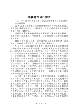 莲藕种植可行报告 