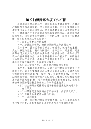 镇长扫黑除恶专项工作汇报 