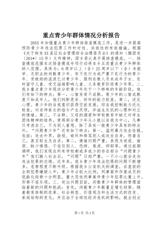 重点青少年群体情况分析报告 