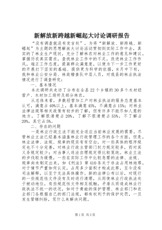 新解放新跨越新崛起大讨论调研报告 