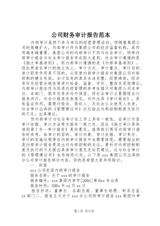 公司财务审计报告范本 
