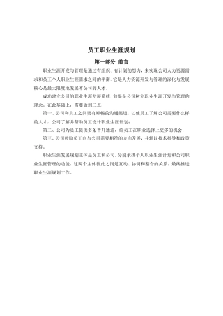 某某电子有限公司员工职业生涯规划