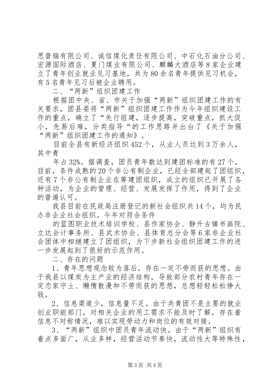 共青团青创工作及两新组织团建情况汇报 _第3页