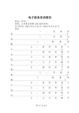 电子政务实训报告 