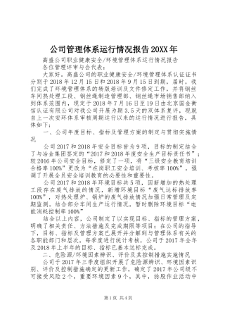 公司管理体系运行情况报告20XX年