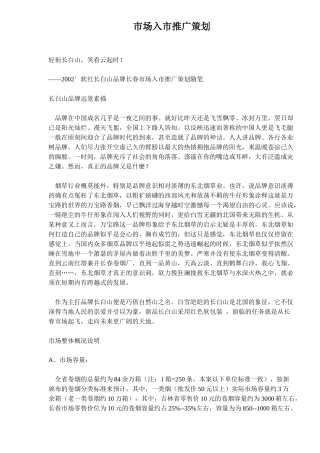 市场入市营销推广策划