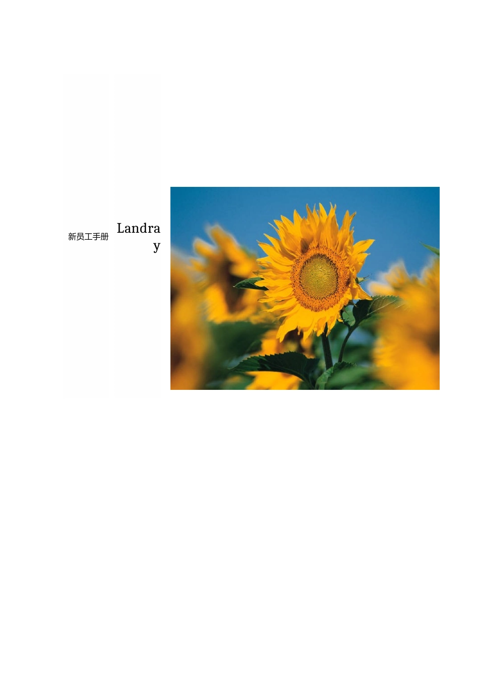 新员工手册(第一稿)_第1页