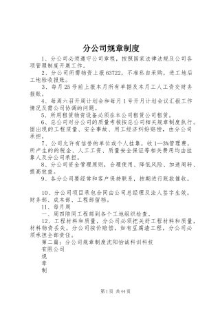 分公司规章规章制度 