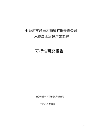 木糖废水可研文本