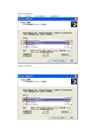 internet信息服务(iis)