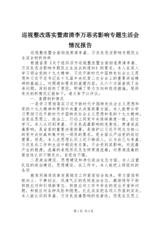 巡视整改落实暨肃清李万恶劣影响专题生活会情况报告 