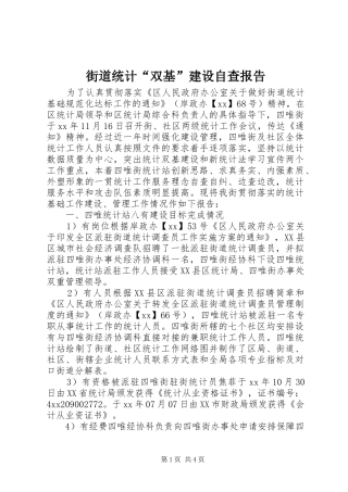 街道统计“双基”建设自查报告 